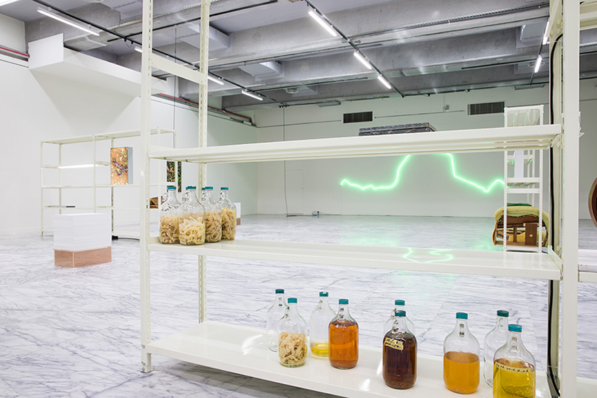 《五百棵檸檬樹：有機檔案》黃博志個展 –以情感與契約佐酒，讓檸檬樹苗釀造出一座工廠 - 室內設計新聞 6