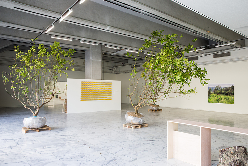 《五百棵檸檬樹：有機檔案》黃博志個展 –以情感與契約佐酒，讓檸檬樹苗釀造出一座工廠 - 室內設計新聞 5