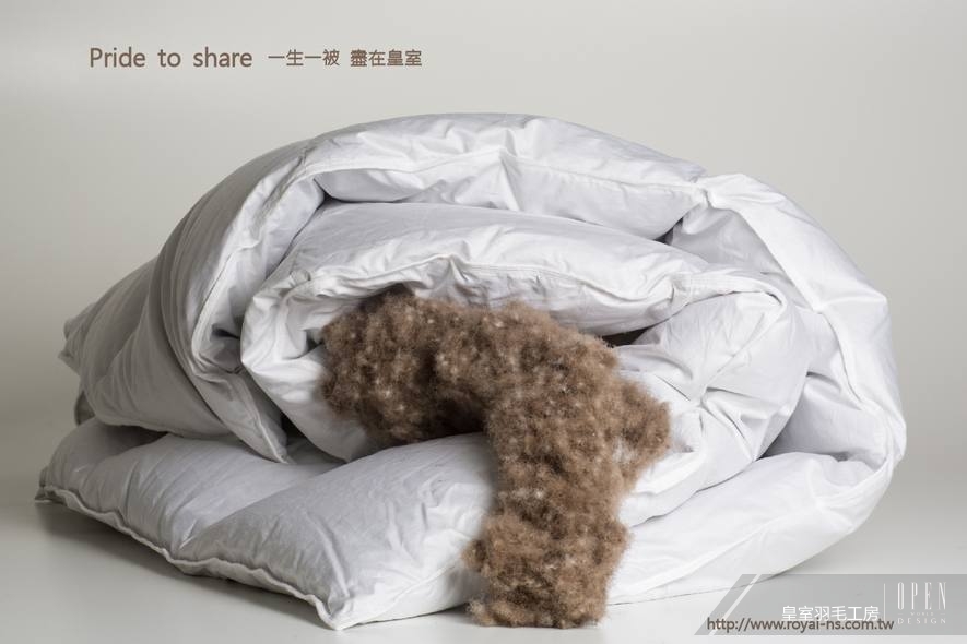 【皇室羽毛工房】皇室の鑽石Pride to share冰島雁鴨羽絨被 感受大自然所餽贈的溫暖 - 設計師專訪